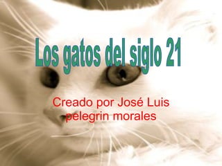 Creado por José Luis pelegrin morales Los gatos del siglo 21 