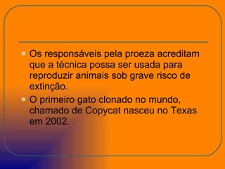 Os responsáveis pela proeza acreditam que a técnica possa ser usada para reproduzir animais sob grave risco de extinção.  O primeiro gato clonado no mundo, chamado de Copycat nasceu no Texas em 2002.  