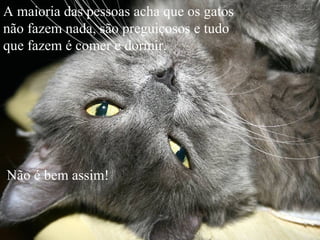 A maioria das pessoas acha que os gatos
não fazem nada, são preguiçosos e tudo
que fazem é comer e dormir.
Não é bem assim!
 