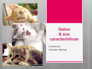 Gatos
& sus
características
Creado por:
Gabriela Villarroel
 