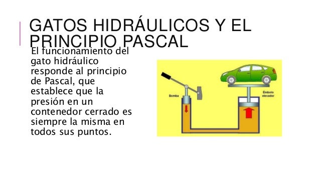 Gatos hidráulico
