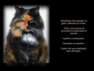 Desatentos não agradam os gatos. Bulhosos os irritam. Tudo o que precise de promoção ou explicação os assusta. Ingratos os desgostam.  Falastrões os entediam.  O gato não quer explicação, quer afirmação.  