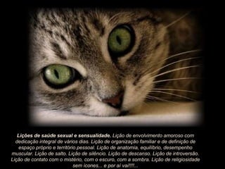 Lições de saúde sexual e sensualidade.  Lição de envolvimento amoroso com dedicação integral de vários dias. Lição de organização familiar e de definição de espaço próprio e território pessoal. Lição de anatomia, equilíbrio, desempenho muscular. Lição de salto. Lição de silêncio. Lição de descanso. Lição de introversão. Lição de contato com o mistério, com o escuro, com a sombra. Lição de religiosidade sem ícones... e por aí vai!!!!... 