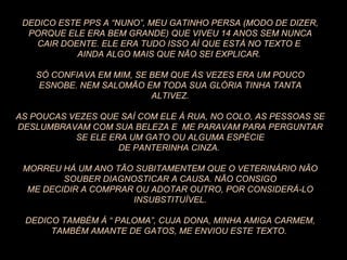 DEDICO ESTE PPS A “NUNO”, MEU GATINHO PERSA (MODO DE DIZER, PORQUE ELE ERA BEM GRANDE) QUE VIVEU 14 ANOS SEM NUNCA  CAIR DOENTE. ELE ERA TUDO ISSO AÍ QUE ESTÁ NO TEXTO E  AINDA ALGO MAIS QUE NÃO SEI EXPLICAR.  SÓ CONFIAVA EM MIM, SE BEM QUE ÀS VEZES ERA UM POUCO ESNOBE. NEM SALOMÃO EM TODA SUA GLÓRIA TINHA TANTA ALTIVEZ. AS POUCAS VEZES QUE SAÍ COM ELE À RUA, NO COLO, AS PESSOAS SE DESLUMBRAVAM COM SUA BELEZA E  ME PARAVAM PARA PERGUNTAR  SE ELE ERA UM GATO OU ALGUMA ESPÉCIE DE PANTERINHA CINZA.  MORREU HÁ UM ANO TÃO SUBITAMENTEM QUE O VETERINÁRIO NÃO SOUBER DIAGNOSTICAR A CAUSA. NÃO CONSIGO ME DECIDIR A COMPRAR OU ADOTAR OUTRO, POR CONSIDERÁ-LO INSUBSTITUÍVEL. DEDICO TAMBÉM À “ PALOMA”, CUJA DONA, MINHA AMIGA CARMEM, TAMBÉM AMANTE DE GATOS, ME ENVIOU ESTE TEXTO.  
