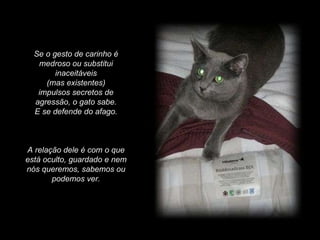 Se o gesto de carinho é medroso ou substitui inaceitáveis (mas existentes)  impulsos secretos de agressão, o gato sabe. E se defende do afago.  A relação dele é com o que está oculto, guardado e nem nós queremos, sabemos ou podemos ver. 