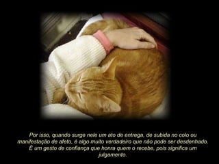 Por isso, quando surge nele um ato de entrega, de subida no colo ou manifestação de afeto, é algo muito verdadeiro que não pode ser desdenhado. É um gesto de confiança que honra quem o recebe, pois significa um julgamento. 