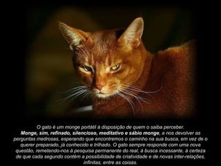O gato é um monge portátil à disposição de quem o saiba perceber. Monge, sim, refinado, silencioso, meditativo e sábio monge , a nos devolver as perguntas medrosas, esperando que encontremos o caminho na sua busca, em vez de o querer preparado, já conhecido e trilhado. O gato sempre responde com uma nova questão, remetendo-nos à pesquisa permanente do real, à busca incessante, à certeza de que cada segundo contém a possibilidade de criatividade e de novas inter-relações, infinitas, entre as coisas. 