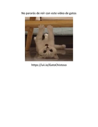 No pararás de reír con este video de gatos
https://uii.io/GatoChistoso
 
