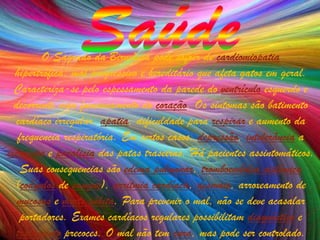 O Sagrado da Birmânia pode sofrer de cardiomiopatia
  hipertrófica, mal progressivo e hereditário que afeta gatos em geral.
  Caracteriza-se pelo espessamento da parede do ventrículo esquerdo e
  decorrente mau funcionamento do coração. Os sintomas são batimento
  cardíaco irregular, apatia, dificuldade para respirar e aumento da
   frequencia respiratória. Em certos casos, depressão, intolerância a
exercícios e paralisia das patas traseiras. Há pacientes assintomáticos.
    Suas consequencias são edema pulmonar, tromboembolia sistêmica
  (coágulos de sangue), arritmia cardíaca, desmaio, arroxeamento de
   mucosas e morte súbita. Para prevenir o mal, não se deve acasalar
    portadores. Exames cardíacos regulares possibilitam diagnóstico e
  tratamento precoces. O mal não tem cura, mas pode ser controlado.
 