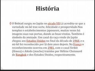 História

0 O Bobtail surgiu no Japão no século VII.Lá acredita-se que a
 variedade mi-kê traz sorte, felicidade e prosperidade.Nos
 templos e estabelecimentos japoneses, muitas vezes há
 imagens suas nas portas, dando as boas-vindas. Também é
 símbolo da amizade. Um casal da raça vindo do Japão
 chegou aos Estados Unidos no final da década de 1960, e o
 mi-kê foi reconhecido por lá dois anos depois. Na França o
 reconhecimento ocorreu em 1981, com o casal Sirikit
 (fêmea) e Aikido (macho) trazidos por Hélène Choisnard
 de Bangkok e dos Estados Unidos, respectivamente.
 