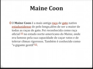 Maine Coon

0 O Maine Coon é a mais antiga raça de gato nativo
 estadunidense de pelo longo,além de ser a maior de
 todas as raças de gato. Foi reconhecida como raça
 oficial [1] no estado norte-americano do Maine, onde
 era famoso pela sua capacidade de caçar ratos e de
 tolerar climas rigorosos. Também é conhecido como
 "o gigante gentil"[2].
 