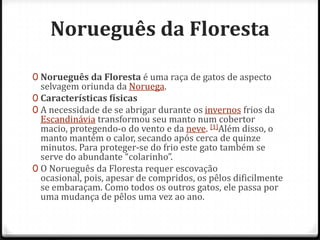 Norueguês da Floresta

0 Norueguês da Floresta é uma raça de gatos de aspecto
  selvagem oriunda da Noruega.
0 Características físicas
0 A necessidade de se abrigar durante os invernos frios da
  Escandinávia transformou seu manto num cobertor
  macio, protegendo-o do vento e da neve. [1]Além disso, o
  manto mantém o calor, secando após cerca de quinze
  minutos. Para proteger-se do frio este gato também se
  serve do abundante “colarinho”.
0 O Norueguês da Floresta requer escovação
  ocasional, pois, apesar de compridos, os pêlos dificilmente
  se embaraçam. Como todos os outros gatos, ele passa por
  uma mudança de pêlos uma vez ao ano.
 