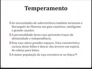 Temperamento

0 As necessidades de sobrevivência também tornaram o
  Norueguês da Floresta um gato cauteloso, inteligente
  e grande caçador.
0 A personalidade desta raça apresenta traços de
  afetuosidade e independência.
0 Esta raça adora grandes espaços. Uma característica
  curiosa deste felino é descer das árvores em espiral,
  de cabeça para baixo.
0 A maior população da raça encontra-se na Suiça.[1]
 
