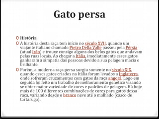 Gato persa

0 História
0 A história desta raça tem início no século XVII, quando um
  viajante italiano chamado Pietro Della Valle passou pela Pérsia
  (atual Irão) e trouxe consigo alguns dos belos gatos que andavam
  pelas ruas locais. Ao chegar a Itália, imediatamente esses gatos
  ganharam a simpatia das pessoas devido a sua pelagem macia e
  brilhante.
0 Porém, a moderna raça persa surgiu somente no século XIX,
  quando esses gatos criados na Itália foram levados a Inglaterra,
  onde sofreram cruzamentos com gatos da raça angorá. Logo em
  seguida foi feito um trabalho de melhoramento genético visando
  se obter maior variedade de cores e padrões de pelagem. Há hoje
  mais de 100 diferentes combinações de cores para gatos dessa
  raça, variando desde o branco neve até o malhado (casco de
  tartaruga).
 