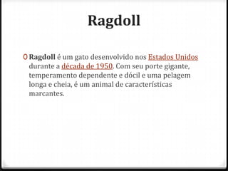 Ragdoll

0 Ragdoll é um gato desenvolvido nos Estados Unidos
 durante a década de 1950. Com seu porte gigante,
 temperamento dependente e dócil e uma pelagem
 longa e cheia, é um animal de características
 marcantes.
 
