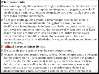 0 Temperamento
0 Seu nome, que significa boneca de trapos, indica uma característica desse
  belo animal que é relaxar completamente quando o pegamos no colo. É
  tão dócil que permite ser jogado de um lado para o outro, algo com que
  nem todos os gatos concordam.
0 É um gato muito quieto e gentil, e uma vez que escolha um dono, o
  acompanhará permanentemente. São gatos caseiros, por sua
  docilidade, são totalmente indefesos quando livres, portanto são gatos
  para viver em ambiente interno. Mas, se possível, vivem bem ao ar livre
  desde que seja um ambiente isolado, como um jardim fechado. Seu
  temperamento é tranqüilo e são muito fiéis aos donos. Possuem
  moderada necessidade de atividades físicas, sendo mais sedentários que
  raças menores.
0 [editar] Características físicas
0 São gatos de porte grande, com boa estrutura corporal.
0 Pelagem macia, com textura suave, sedosa. Olhos sempre azuis e pelagem
  do tipo colorpoint, ou seja, manto mais escuro que as cores das pontas
  (patas, cauda, focinho e orelhas) sendo que o contraste deve ser bem
  definido. Gatos mais velhos tendem a ser mais escuros que os mais
  jovens pois sua cor vai escurecendo de acordo com a idade. Seu
  amadurecimento é tardio, chegam a completar seu crescimento com
 