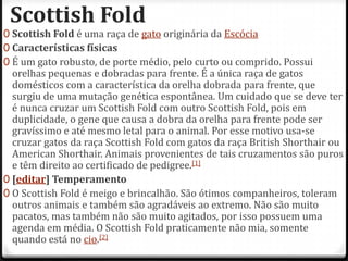 Scottish Fold
0 Scottish Fold é uma raça de gato originária da Escócia
0 Características físicas
0 É um gato robusto, de porte médio, pelo curto ou comprido. Possui
  orelhas pequenas e dobradas para frente. É a única raça de gatos
  domésticos com a característica da orelha dobrada para frente, que
  surgiu de uma mutação genética espontânea. Um cuidado que se deve ter
  é nunca cruzar um Scottish Fold com outro Scottish Fold, pois em
  duplicidade, o gene que causa a dobra da orelha para frente pode ser
  gravíssimo e até mesmo letal para o animal. Por esse motivo usa-se
  cruzar gatos da raça Scottish Fold com gatos da raça British Shorthair ou
  American Shorthair. Animais provenientes de tais cruzamentos são puros
  e têm direito ao certificado de pedigree.[1]
0 [editar] Temperamento
0 O Scottish Fold é meigo e brincalhão. São ótimos companheiros, toleram
  outros animais e também são agradáveis ao extremo. Não são muito
  pacatos, mas também não são muito agitados, por isso possuem uma
  agenda em média. O Scottish Fold praticamente não mia, somente
  quando está no cio.[2]
 