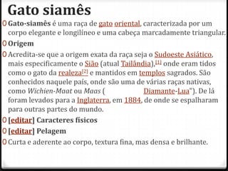 Gato siamês
0 Gato-siamês é uma raça de gato oriental, caracterizada por um
  corpo elegante e longilíneo e uma cabeça marcadamente triangular.
0 Origem
0 Acredita-se que a origem exata da raça seja o Sudoeste Asiático,
  mais especificamente o Sião (atual Tailândia),[1] onde eram tidos
  como o gato da realeza[2] e mantidos em templos sagrados. São
  conhecidos naquele país, onde são uma de várias raças nativas,
  como Wichien-Maat ou Maas (                Diamante-Lua"). De lá
  foram levados para a Inglaterra, em 1884, de onde se espalharam
  para outras partes do mundo.
0 [editar] Caracteres físicos
0 [editar] Pelagem
0 Curta e aderente ao corpo, textura fina, mas densa e brilhante.
 
