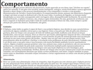 Comportamento
0 O Sphynx é um gato muito afetuoso até possessivo, muito agarrado ao seu dono, tipo "chiclete-no-sapato",
    adora ser mimado. É um gato vivo sociável, muito inteligente, enérgico, muito brincalhão e nunca agressivo.
    Quando o dono chega a casa procura imediatamente a sua companhia e recebe-o com grandes
    demonstrações de carinho e muita brincadeira. O comportamento destes animais são admiráveis chegando
    a eleger um dono ao qual se dedicará até o fim de suas vidas. A ausência de bigodes, os tornam muito
    desajeitados as vezes não conseguindo subir em lugares altos, desequilibrando facilmente. De acordo com o
    standard francês, o sphynx é macaco, cão, criança e gato misturados. Ou seja, gostam de acrobacias, sao
    leais e seguem os humanos para todo o lado de cauda levantada e felizes da vida, estão sempre a pedir
    atenção por parte dos donos e, finalmente, são gatos.
0
  Cuidados
0 O Sphynx, como todos os gatos é capaz de fazer a sua própria higiene, mas devido às suas características
  necessita de alguns cuidados extras para a sua higiene. Como a sua pele por falta de pêlo não elimina a
  gordura, deve ser limpo com um pouco de leite de toillete para bebé, toalhetes sem álcool ou lenços
  umedecidos, uma vez por semana. Deve-se observar que loções adstringentes limpam de fato a oleosidade
  da pele mas sem o devido cuidado pode haver o ressecamento da pele do animal gerando uma escamação
  anormal ou em casos mais graves até feridas... Banho, uma vez por mês com um xampu neutro. Este
  procedimento além de tonificar e facilitar a circulação evita problemas de pele (dermatoses). Cuidado com
  o sol direto pois a sua pele como é nua bronzeia com muita facilidade podendo ocorrer queimaduras
  solares. Alguns criadores passam protetor solar nos animais mas, como os protetores são em sua maioria
  gordurosos, a oleosidade da pele pode aumentar visivelmente multiplicando exponencialmente os
  cuidados... Os canais lacrimais devem ser limpos com uma loção (Optrex) ou soro fisiológico, pois
  produzem uma geleia acastanhada. Orelhas, devem ser limpas uma vez por semana pois criam um cerùmen
  castanho, uso normalmente Otoclean que ajuda a evitar problemas com otites. Limpar também as patas
  assim como as almofadas retirando corpos estranhos e cortar regularmente as unhas com alicates próprios
  para o efeito.
0
  Alimentação
0 Deve ser usada uma alimentação a base de croquetes, topo de gama rica em calorias pois o Sphynx precisa
  de uma alimentação forte devido a perda de calor pela sua pele nua. Ter sempre água limpa e fresca a sua
  disposição. Todos os gatinhos devem ser desparasitados uma vez por mês até aos 6 meses, depois de 6 em
  6 meses na fase adulta. Desparasitar sempre antes do rappel das vacinas que deve ser feito todos os anos.
 