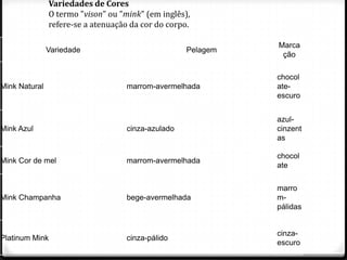 Variedades de Cores
               O termo "vison" ou "mink" (em inglês),
               refere-se a atenuação da cor do corpo.

                                                              Marca
               Variedade                            Pelagem
                                                               ção

                                                              chocol
Mink Natural                       marrom-avermelhada         ate-
                                                              escuro


                                                              azul-
Mink Azul                          cinza-azulado              cinzent
                                                              as

                                                              chocol
Mink Cor de mel                    marrom-avermelhada
                                                              ate

                                                              marro
Mink Champanha                     bege-avermelhada           m-
                                                              pálidas


                                                              cinza-
Platinum Mink                      cinza-pálido
                                                              escuro
 