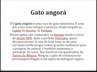 Gato angorá
0 O gato angorá é uma raça de gato doméstico. É uma
  das raças mais antigas e naturais, tendo surgido na
  região de Ancara, na Turquia.
0 Estes gatos são conhecidos na Europa desde o início
  do século XVII. Após o período Vitoriano, quase
  desapareceram. A raça de hoje trata-se de uma
  recriação artificial que trouxe grandes melhorias para
  a pelagem do animal, e também aumentou a
  variedade de cores. Nas histórias em quadrinhos da
  Turma da Mônica, Mingau, o gato de estimação da
  personagem Magali, é um típico da linhagem angorá
 