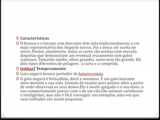 0 Características
0 O branco e o laranja com dois tons têm sido tradicionalmente a cor
  mais representativa dos Angorás turcos. Foi a única cor aceita no
  início. Porém, atualmente, todas as cores são aceitas com exceção
  daquelas que demonstram um eventual cruzamento com gatos
  siameses. Tamanho médio, olhos grandes, nariz nem tão grande. Há
  dois tipos diferentes de pelagem : a curta e a comprida.
0 [editar] Temperamento
0 Gato angorá branco portador de heterocromia.
0 O gato angorá é brincalhão, dócil e amistoso. É um gato bastante
  ativo durante a sua vida. Gostam de escalar para pontos altos a partir
  de onde observam os seus donos.Ele é muito apegado a o seu dono ,o
  seu comportamento parece com o de um cão.São animais carinhosos
  e inteligentes, mas não é fácil conseguir um exemplar, uma vez que
  suas ninhadas são muito pequenas.
 