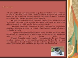 Características   Os gatos pertencem a ordem carnívora, na qual os animais tem dentes cortantes e salientes, e consomem carne. Foram classificados pelos biólogos como carnívoros devido aos aos seus dentes, mas existem outras características comuns a todos os carnívoros como o corpo peludo e com garras nas patas.  Os gatos são muito silenciosos. Esta é uma herança de seus antepassados que fazem deles caçadores ainda melhores. Isto porque suas patas têm uma densa pelagem, abafando os ruídos que elas produzem contra o chão. Embora o homem seja muito maior do que o gato doméstico, os gatos tem um número bem maior de ossos: 230, contra os 206 do homem. Muitos destes estão localizados na cauda. Os gatos tem comportamentos diferentes com a sua cauda, de acordo com o espécime ou raça. Mesmo assim, de maneira geral, as caudas nos dizem muito sobre como está o "humor" deles.  Quando levantada mostra orgulho e contentamento do gato. Quando estendida e ereta, mostra que está espreitando um ataque. Enrolada diz que o gato está espantado ou aflito. E diferentemente dos cachorros, quando agita a cauda de um lado para o outro, pode demonstrar que o gato está bravo ou nervoso. 