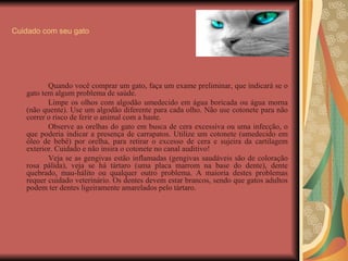 Cuidado com seu gato Quando você comprar um gato, faça um exame preliminar, que indicará se o gato tem algum problema de saúde.  Limpe os olhos com algodão umedecido em água boricada ou água morna (não quente). Use um algodão diferente para cada olho. Não use cotonete para não correr o risco de ferir o animal com a haste.  Observe as orelhas do gato em busca de cera excessiva ou uma infecção, o que poderia indicar a presença de carrapatos. Utilize um cotonete (umedecido em óleo de bebê) por orelha, para retirar o excesso de cera e sujeira da cartilagem exterior. Cuidado e não insira o cotonete no canal auditivo!  Veja se as gengivas estão inflamadas (gengivas saudáveis são de coloração rosa pálida), veja se há tártaro (uma placa marrom na base do dente), dente quebrado, mau-hálito ou qualquer outro problema. A maioria destes problemas requer cuidado veterinário. Os dentes devem estar brancos, sendo que gatos adultos podem ter dentes ligeiramente amarelados pelo tártaro.  