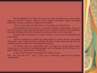 Sua barriguinha deve estar cheia mas não muito estufada (caso esteja assim, pode ser sinal de vermes). Observe se há algum sobressalto (pode ser hérnia umbilical), cheque as patas por alguma deformidade.  Veja se o gato não está mancando ou com algum outro problema.  Sua pelagem deverá ser suave e sem bolas de pêlos embaraçados. Veja se a pele tem caspa ou áreas com falta de pêlos (isso é sinal de micose). Veja também a presença de pulgas (elas deixam pequenos pontos pretos) e outros parasitas.  Procure sinais de diarréia ou vermes. O ânus, e a vulva (se for fêmea) devem estar limpos.  Apare-as usando um cortador de unhas (trim) ou alicate próprio para unhas de animais. Corte sempre apenas a pontinha da unha, e tenha certeza de que não está atingindo a parte rosada que é extremamente sensível.  Dê sempre uma boa alimentação, para seu gato ter sempre muita saúde. Rações secas e úmidas de qualidade poderão ser encontradas nos Pet Shops. Se o gato é filhote use a própria para a idade dele.  A água deverá sempre estar disponível, limpa e fresca.  Obs.: Seu gato não tem 7 vidas...! Fale com o veterinário antes de dar qualquer medicamento. 