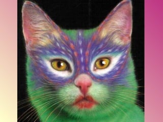 Gatos pintados