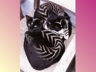 Gatos pintados