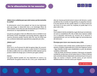 De la alimentación de tus mascotas
¿Sabes cómo cuidarlas para que estén sanas y así demostrarles
tu cariño?
Su alimentación, como la de cualquier ser vivo, es muy importante
para que tengan un desarrollo sano y se mantengan libres de
enfermedades.Como ellos han sido domesticados por el hombre,su
alimentación es responsabilidad de sus dueños.
Los perros y los gatos,si bien son diferentes entre sí,también lo son
del hombre.Tienen necesidades nutricionales distintas y algunos de
nuestros alimentos pueden hacerles daño. Por esto, les tienes que
dar un alimento balanceado especialmente preparado para ellos.
¿Sabías que?
Gatitos
Entre las 6 y las 8 semanas de edad, los gatitos dejan de consumir
leche materna, por ello poco a poco y a partir de las 3 ó 4 semanas
de edad, se debe incluir en su dieta alimento sólido especial; que les
provea el doble de energía que un alimento para gatos adultos.
Adultos
Los gatos adultos pueden ser muy especiales en cuanto a su
alimentación. Sus gustos varían de uno a otro y por temporadas.A
ellos les interesa particularmente la textura del alimento y poder
así disfrutar de su comida a lo largo del día y en pequeñas raciones.
Si les das alimento de lata, puedes dejarlo a su alcance hasta por
dos horas. Si es seco, como las croquetas, se puede dejar en su
plato todo el día.
Viejos
Con la edad,el nivel de actividad de un gato disminuye normalmente,
así como su metabolismo. Por ello, se debe tener especial cuidado
con la obesidad, reduciendo las raciones de su alimento o
sustituyéndolo por uno con más fibra, según las recomendaciones
del veterinario.
Consejos para tener una mascota sana y feliz
1. Si tu mascota come comida casera, puedes hacerle el cambio a
alimento completo y balanceado poco a poco,de la siguiente manera:
- Sigue dándole comida casera añadiéndole un poco de alimento
completo y balanceado.
- Cada día añade más alimento completo y disminuye una pequeña
cantidad de comida casera, de tal manera que en 12 días tu mascota
esté comiendo alimento balanceado únicamente.A partir de que lo
haga, no vuelvas a mezclar comida casera, ya que estarías
desbalanceando la nutrición exacta que requiere.
 