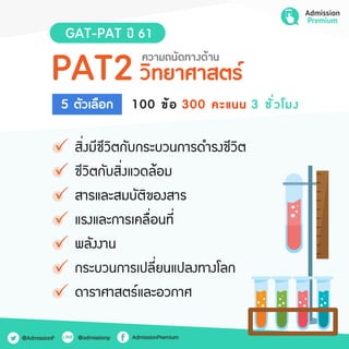 Gatpat 61