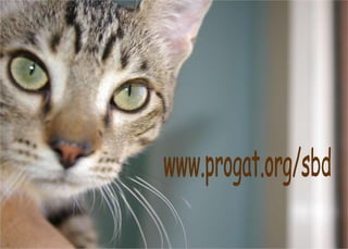www.progat.org/sbd 