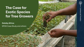 thumbnail of The Case for Exotic Species for Tree Growers