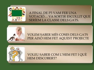 A FINAL DE P3 VAM FER UNA
VOTACIÓ… VA SORTIR ESCOLLIT QUE
SERÍEM LA CLASSE DELS GATS.
VOLEM SABER MÉS COSES DELS GATS
PER AIXÒ HEM FET AQUEST PROJECTE
VOLEU SABER COM L’HEM FET I QUÈ
HEM DESCOBERT?
 