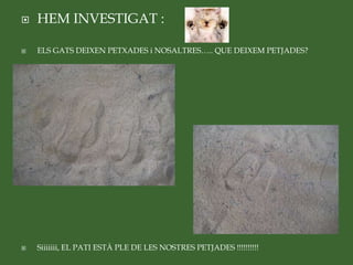  HEM INVESTIGAT :
 ELS GATS DEIXEN PETXADES i NOSALTRES….. QUE DEIXEM PETJADES?
 Siiiiiii, EL PATI ESTÀ PLE DE LES NOSTRES PETJADES !!!!!!!!!!
 