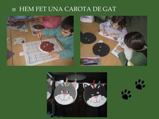  HEM FET UNA CAROTA DE GAT
 