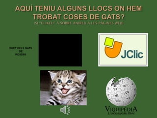 Gats projecte   copia
