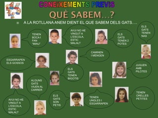  A LA ROTLLANA ANEM DIENT EL QUE SABEM DELS GATS….
TENEN
BOCA I
FAN
“MIAU”
AVUI NO HE
VINGUT A
L’ESCOLA,
ESTIC
MALALT
ALGUNS
GATS
VIUEN AL
CARRER
ELS
GATS
TENEN
NAS
AVUI NO HE
VINGUT A
L’ESCOLA,
ESTIC
MALALT
ESGARRAPEN
ELS GOSSOS
ELS
GATS
TENEN 2
POTES
TENEN
ORELLES
PETITES
ELS
GATS
SÓN
PETIS
JUGUEN
AMB
PILOTES
TENEN
UNGLES I
ESGARRAPEN
ELS
GATS
TENEN
BIGOTIS
CAMINEN
I MENGEN
 