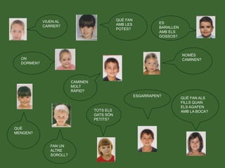 VIUEN AL
CARRER?
ES
BARALLEN
AMB ELS
GOSSOS?
NOMÉS
CAMINEN?
QUÈ
MENGEN?
QUÈ FAN
AMB LES
POTES?
ON
DORMEN?
CAMINEN
MOLT
RÀPID?
ESGARRAPEN?
TOTS ELS
GATS SÓN
PETITS?
FAN UN
ALTRE
SOROLL?
QUÈ FAN ALS
FILLS QUAN
ELS AGAFEN
AMB LA BOCA?
 