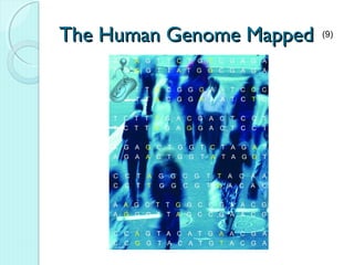 The Human Genome Mapped   (9)
 
