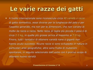 Le varie razze dei gatti A livello internazionale sono riconosciute circa  40 varietà o razze  di gatto domestico, assai diverse per la lunghezza del pelo e per l'aspetto generale, ma non per le dimensioni, che non variano di molto da razza a razza. Nelle razze di taglia più piccola il peso è di circa  2-3 kg , in quelle più grosse arriva al massimo ai  7-9 kg . Finora, tutti i tentativi di ottenere varietà nane o giganti non hanno avuto successo. Alcune razze si sono sviluppate in natura in particolari aree geografiche; altre sono frutto di mutazioni spontanee, in seguito selezionate dall'uomo con il preciso scopo di ottenere nuove varietà  Presentazione di Vanessa 1° B 