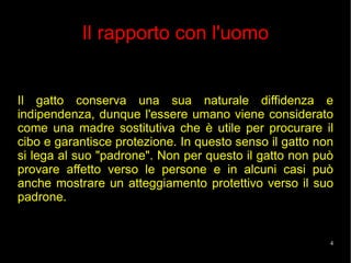 Il rapporto con l'uomo Il gatto conserva una sua naturale diffidenza e indipendenza, dunque l'essere umano viene considerato come una madre sostitutiva che è utile per procurare il cibo e garantisce protezione. In questo senso il gatto non si lega al suo "padrone". Non per questo il gatto non può provare affetto verso le persone e in alcuni casi può anche mostrare un atteggiamento protettivo verso il suo padrone. 