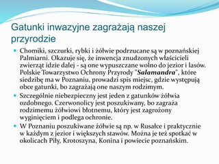 Gatunki inwazyjne zagrażają naszej
przyrodzie
 Chomiki, szczurki, rybki i żółwie podrzucane są w poznańskiej

Palmiarni. ...