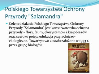 Polskiego Towarzystwa Ochrony
Przyrody "Salamandra"
 Celem działania Polskiego Towarzystwa Ochrony

Przyrody "Salamandra"...