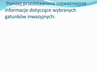 Poniżej przedstawiono najważniejsze
informacje dotyczące wybranych
gatunków inwazyjnych:

 