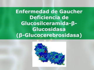 Enfermedad de Gaucher Deficiencia de Glucosilceramida-β-Glucosidasa   (β-Glucocerebrosidasa) 