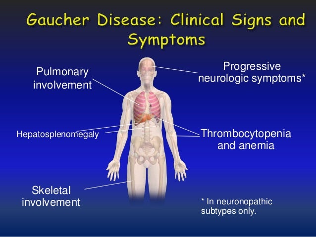 Gaucher Disease