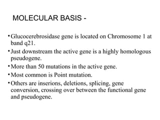 MOLECULAR BASIS -
•Glucocerebrosidase gene is located on Chromosome 1 at
band q21.
•Just downstream the active gene is a highly homologous
pseudogene.
•More than 50 mutations in the active gene.
•Most common is Point mutation.
•Others are inserions, deletions, splicing, gene
conversion, crossing over between the functional gene
and pseudogene.
 